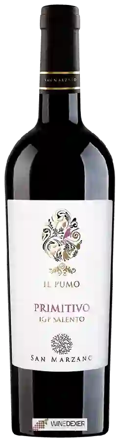 Winery San Marzano - Primitivo