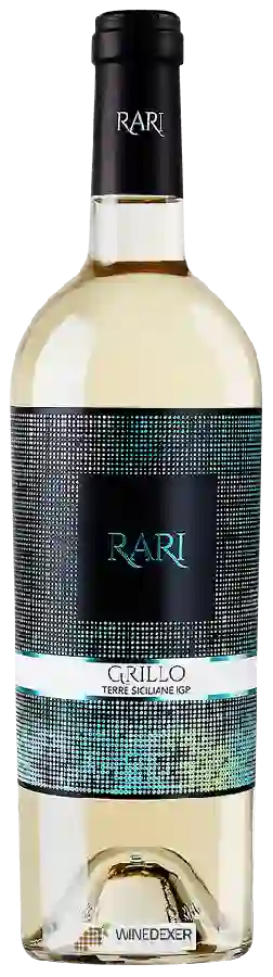 Winery San Marzano - Rari Grillo Winery San Marzano - Rari Grillo