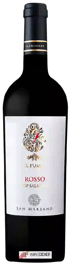 Winery San Marzano - Salento Rosso Winery San Marzano - Salento Rosso