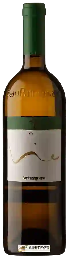 Winery San Patrignano - Vie Winery San Patrignano - Vie