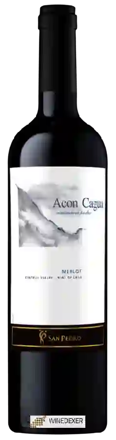 Winery San Pedro - Acon Cagua Merlot Winery San Pedro - Acon Cagua Merlot