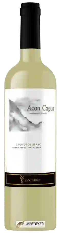 Winery San Pedro - Acon Cagua Sauvignon Blanc