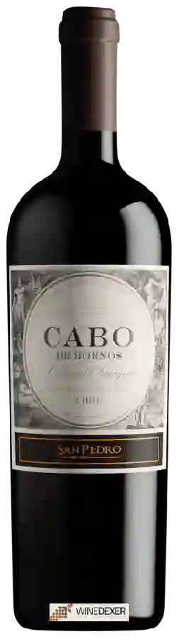 Winery San Pedro - Cabo de Hornos Cabernet Sauvignon Winery San Pedro - Cabo de Hornos Cabernet Sauvignon