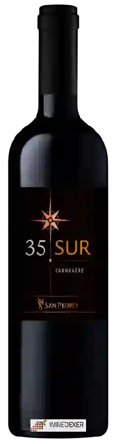 Winery San Pedro - 35° South (Sur) Carmènère