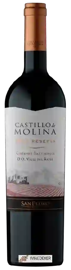 Winery San Pedro - Castillo de Molina Cabernet Sauvignon (Reserva)
