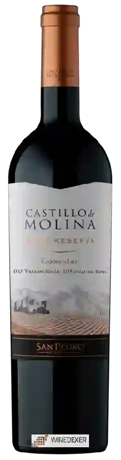 Winery San Pedro - Castillo de Molina Carmenère (Reserva) Winery San Pedro - Castillo de Molina Carmenère (Reserva)