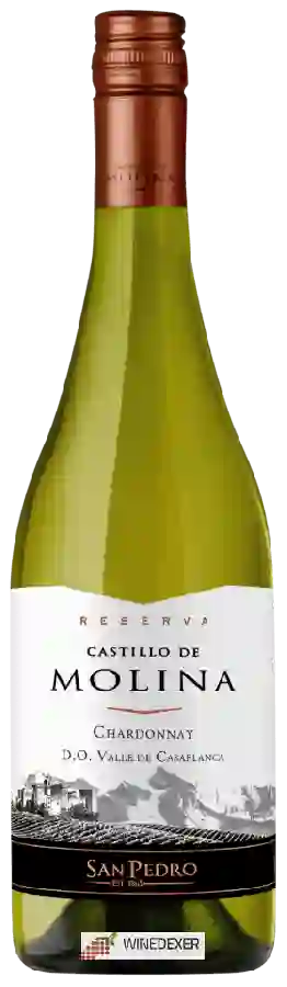 Winery San Pedro - Castillo de Molina Chardonnay (Reserva)