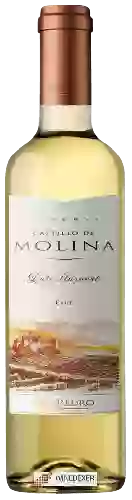 Winery San Pedro - Castillo de Molina Late Harvest (Reserva)