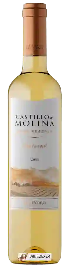 Winery San Pedro - Castillo de Molina Late Harvest (Reserva) Winery San Pedro - Castillo de Molina Late Harvest (Reserva)