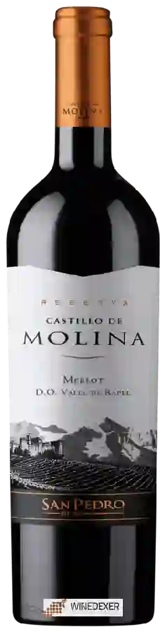 Winery San Pedro - Castillo de Molina Merlot (Reserva)