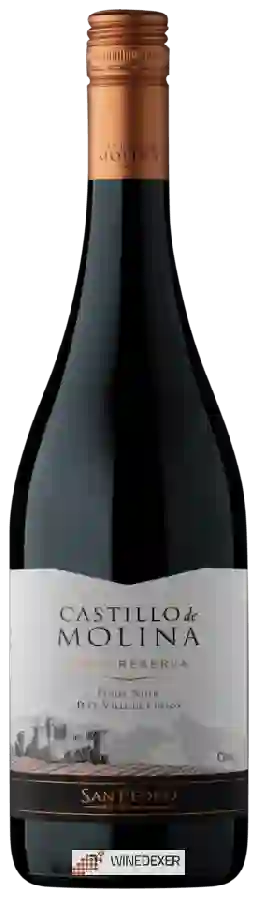 Winery San Pedro - Castillo de Molina Pinot Noir (Reserva)