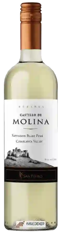 Winery San Pedro - Castillo de Molina Fumé - Sauvignon Blanc (Reserva) Winery San Pedro - Castillo de Molina Fumé - Sauvignon Blanc (Reserva)