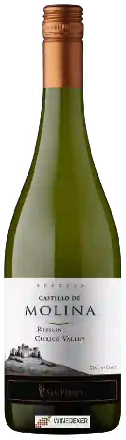 Winery San Pedro - Castillo de Molina Riesling (Reserva)
