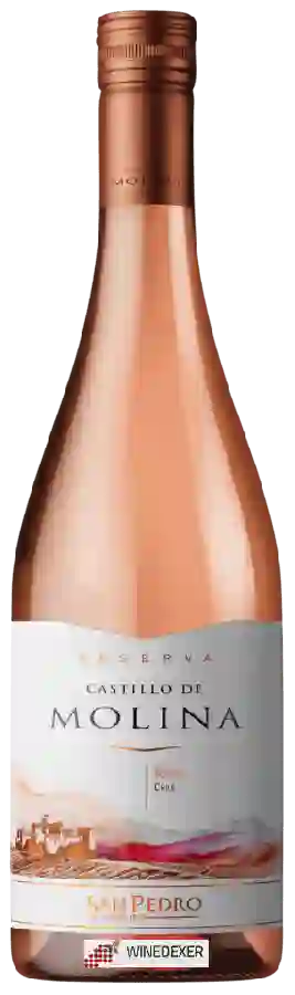 Winery San Pedro - Castillo de Molina Rosé (Reserva)