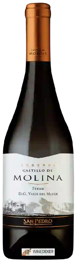Winery San Pedro - Castillo de Molina Syrah (Reserva)