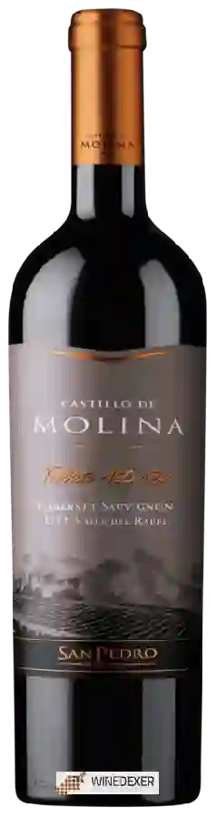 Winery San Pedro - Castillo de Molina Tributo 150 Años Cabernet Sauvignon Winery San Pedro - Castillo de Molina Tributo 150 Años Cabernet Sauvignon