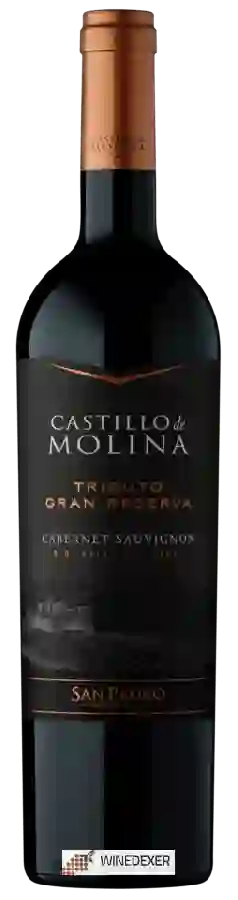 Winery San Pedro - Castillo de Molina Tributo Gran Reserva Cabernet Sauvignon
