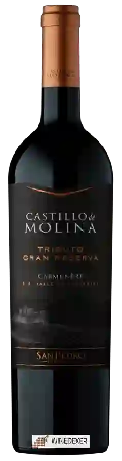 Winery San Pedro - Castillo de Molina Tributo Gran Reserva Carmenère