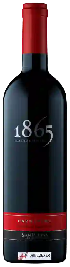 Winery San Pedro - 1865 Reserva Carmenère