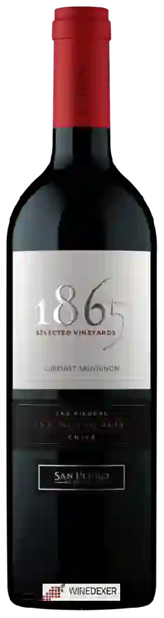 Winery San Pedro - 1865 Selected Vineyards Cabernet Sauvignon Winery San Pedro - 1865 Selected Vineyards Cabernet Sauvignon