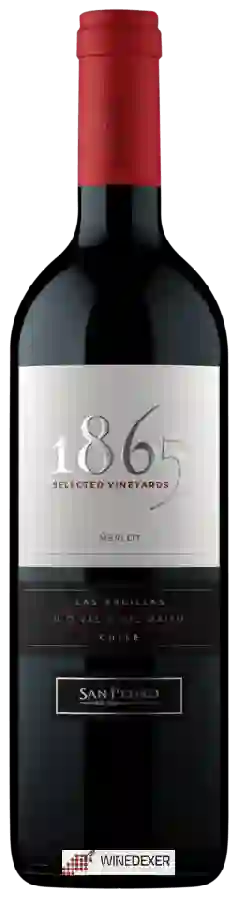 Winery San Pedro - 1865 Selected Vineyards Merlot Winery San Pedro - 1865 Selected Vineyards Merlot