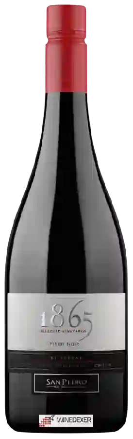 Winery San Pedro - 1865 Selected Vineyards Pinot Noir Winery San Pedro - 1865 Selected Vineyards Pinot Noir