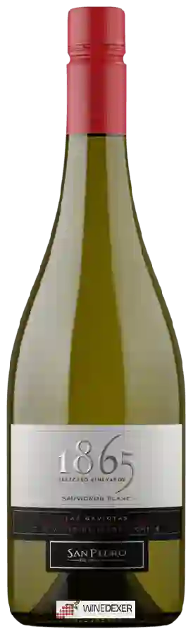 Winery San Pedro - 1865 Selected Vineyards Sauvignon Blanc