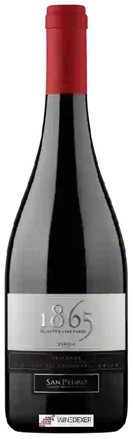 Winery San Pedro - 1865 Selected Vineyards Syrah