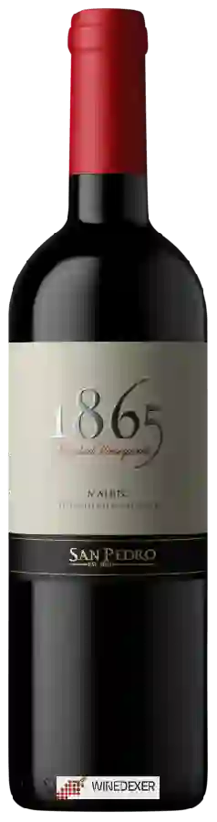 Winery San Pedro - 1865 Selected Vineyards Valle del Maule Malbec Winery San Pedro - 1865 Selected Vineyards Valle del Maule Malbec