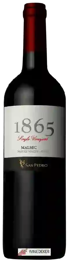 Winery San Pedro - 1865 Single Vineyard Malbec Winery San Pedro - 1865 Single Vineyard Malbec