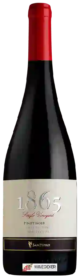 Winery San Pedro - 1865 Single Vineyard Pinot Noir Winery San Pedro - 1865 Single Vineyard Pinot Noir