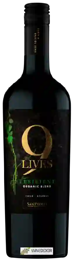 Winery San Pedro - Gato Negro 9 Lives Reserve Organic Blend
