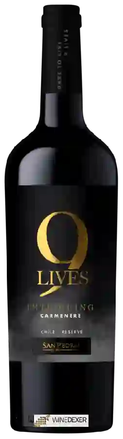 Winery San Pedro - 9 Lives Reserve Carménère