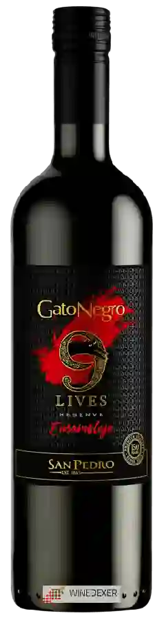 Winery San Pedro - 9 Lives Reserve Ensamblaje Winery San Pedro - 9 Lives Reserve Ensamblaje