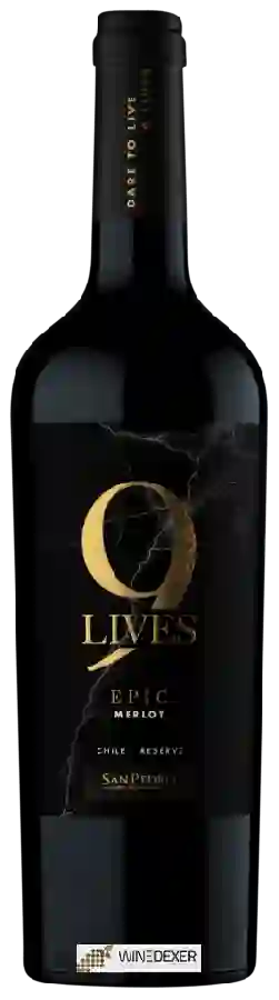 Winery San Pedro - 9 Lives Reserve Merlot