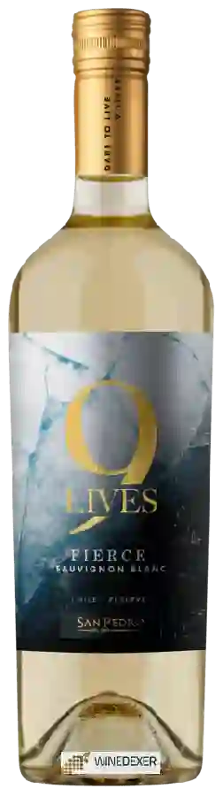 Winery San Pedro - 9 Lives Reserve Sauvignon Blanc