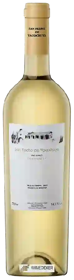 Winery San Pedro de Yacochuya - Torrontes