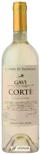 Winery Tenuta San Pietro - Corté Gavi