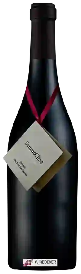 Winery Torre San Quirico - Sommoclivo Nebbiolo Winery Torre San Quirico - Sommoclivo Nebbiolo