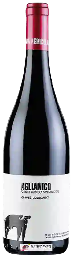 Winery San Salvatore - Aglianico Paestum