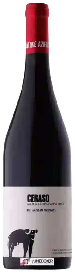 Winery San Salvatore - Ceraso Aglianico Paestum