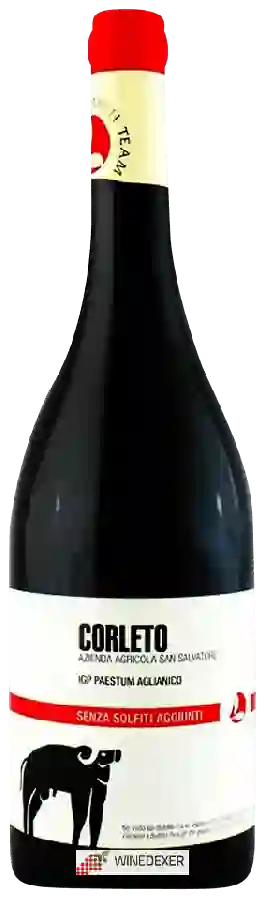 Winery San Salvatore - Corleto Aglianico Paestum