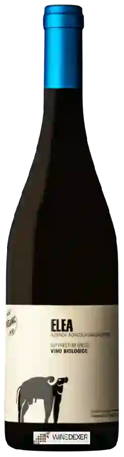 Winery San Salvatore - Elea Greco Paestum Winery San Salvatore - Elea Greco Paestum