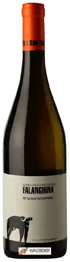 Winery San Salvatore - Falanghina Campania Winery San Salvatore - Falanghina Campania