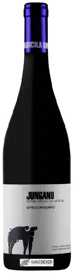 Winery San Salvatore - Jungano Aglianico Paestum Winery San Salvatore - Jungano Aglianico Paestum