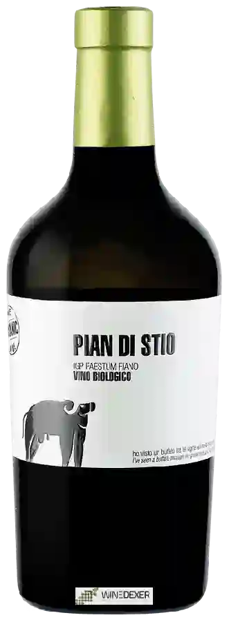 Winery San Salvatore - Pian di Stio Fiano