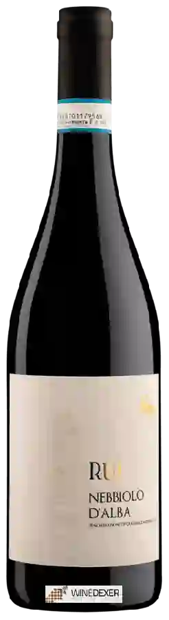 Winery San Silvestro - Ruj Nebbiolo d'Alba Winery San Silvestro - Ruj Nebbiolo d'Alba