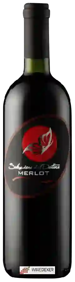 Winery San Simone - Selezione del Dottore Merlot Winery San Simone - Selezione del Dottore Merlot