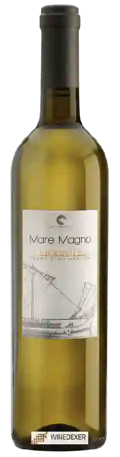 Winery Sancarraro - Mare Magno Viognier