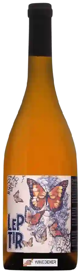 Winery Sanctum - Leptir